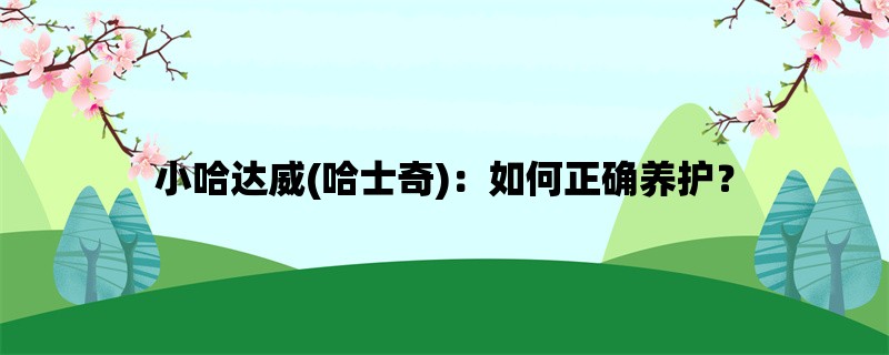 小哈达威(哈士奇)：如何正确养护？