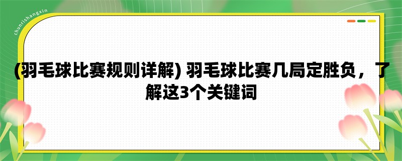 (羽毛球比赛规则详解)