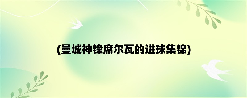 (曼城神锋席尔瓦的进球集锦)