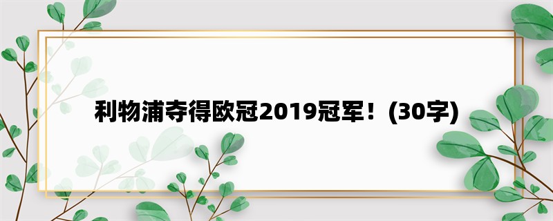 利物浦夺得欧冠2019冠军