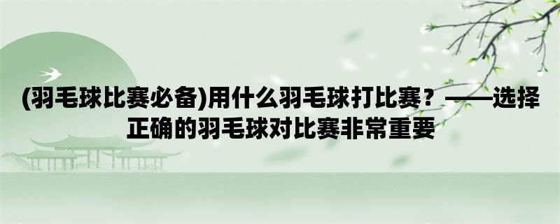 (羽毛球比赛必备)用什么