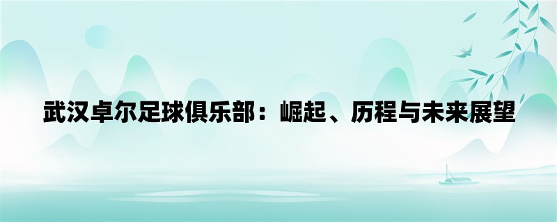 武汉卓尔足球俱乐部：崛起、历程与未来展望