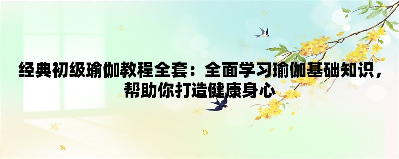 经典初级瑜伽教程全套：