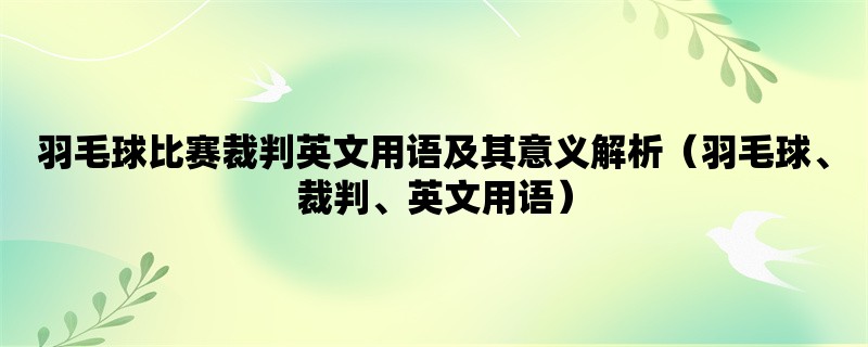 羽毛球比赛裁判英文用语及其意义解析（羽毛球、裁判、英文用语）