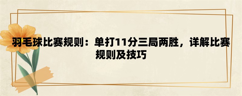 羽毛球比赛规则：单打11分三局两胜，详解比赛规则及技巧