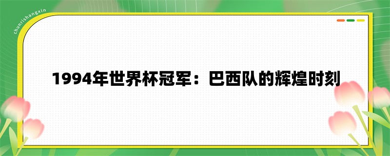 1994年世界杯冠军：巴西