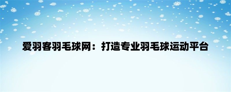 爱羽客羽毛球网：打造专业羽毛球运动平台