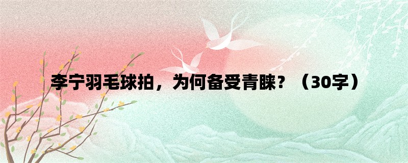 李宁羽毛球拍，为何备受青睐？