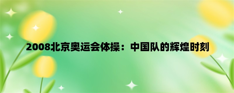 2008北京奥运会体操：中国队的辉煌时刻