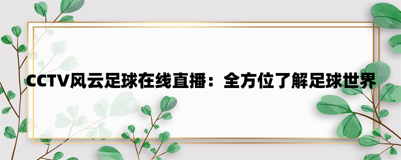 CCTV风云足球在线直播：全方位了解足球世界