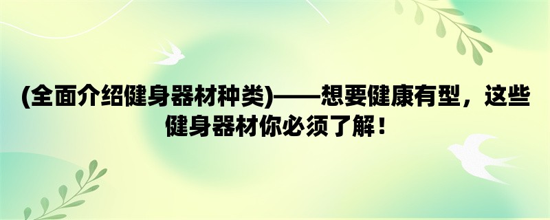 (全面介绍健身器材种类