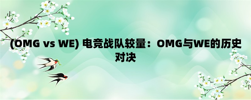 (OMG vs WE) 电竞战队较量：OMG与WE的历史对决