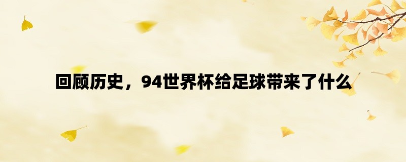 回顾历史，94世界杯给足