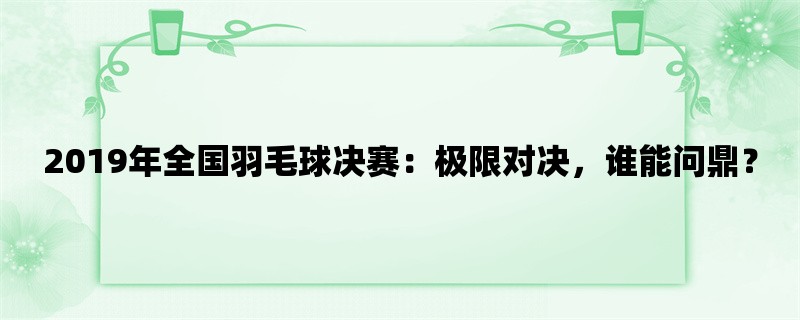 2019年全国羽毛球决赛：极限对决，谁能问鼎？