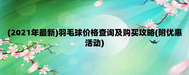 (2021年最新)羽毛球价格查