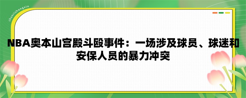 NBA奥本山宫殿斗殴事件：