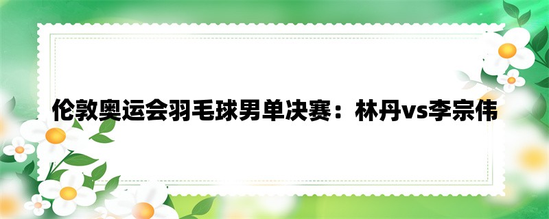 伦敦奥运会羽毛球男单决赛：林丹vs李宗伟