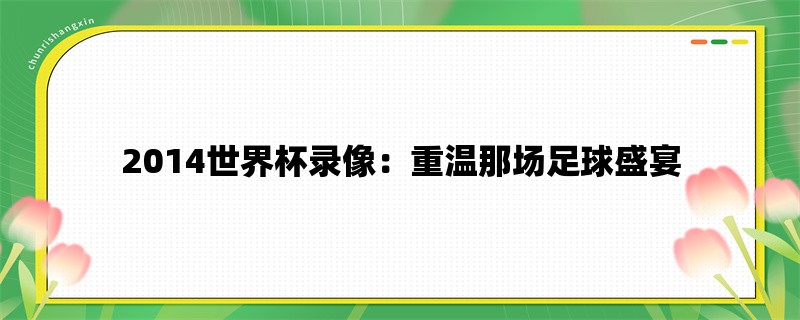 2014世界杯录像：重温那