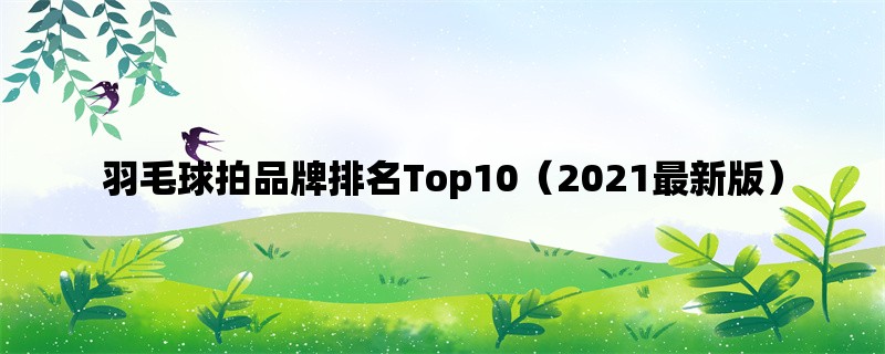 羽毛球拍品牌排名Top10（