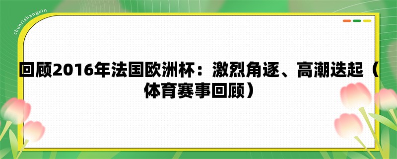 回顾2016年法国欧洲杯：