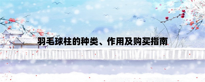 羽毛球柱的种类、作用及购买指南