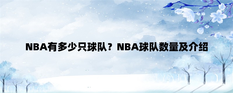 NBA有多少只球队？NBA球队