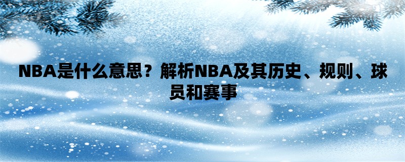 NBA是什么意思？解析NB