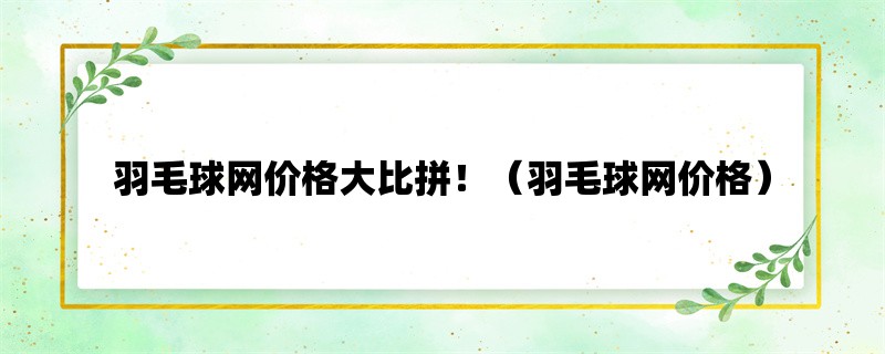 羽毛球网价格大比拼！（羽毛球网价格）